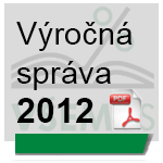 VŠEMvs - Výročná správa 2012