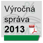 VŠEMvs - Výročná správa 2013